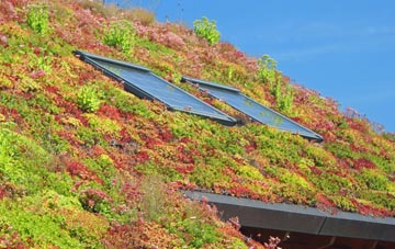 Scholes living roof systems
